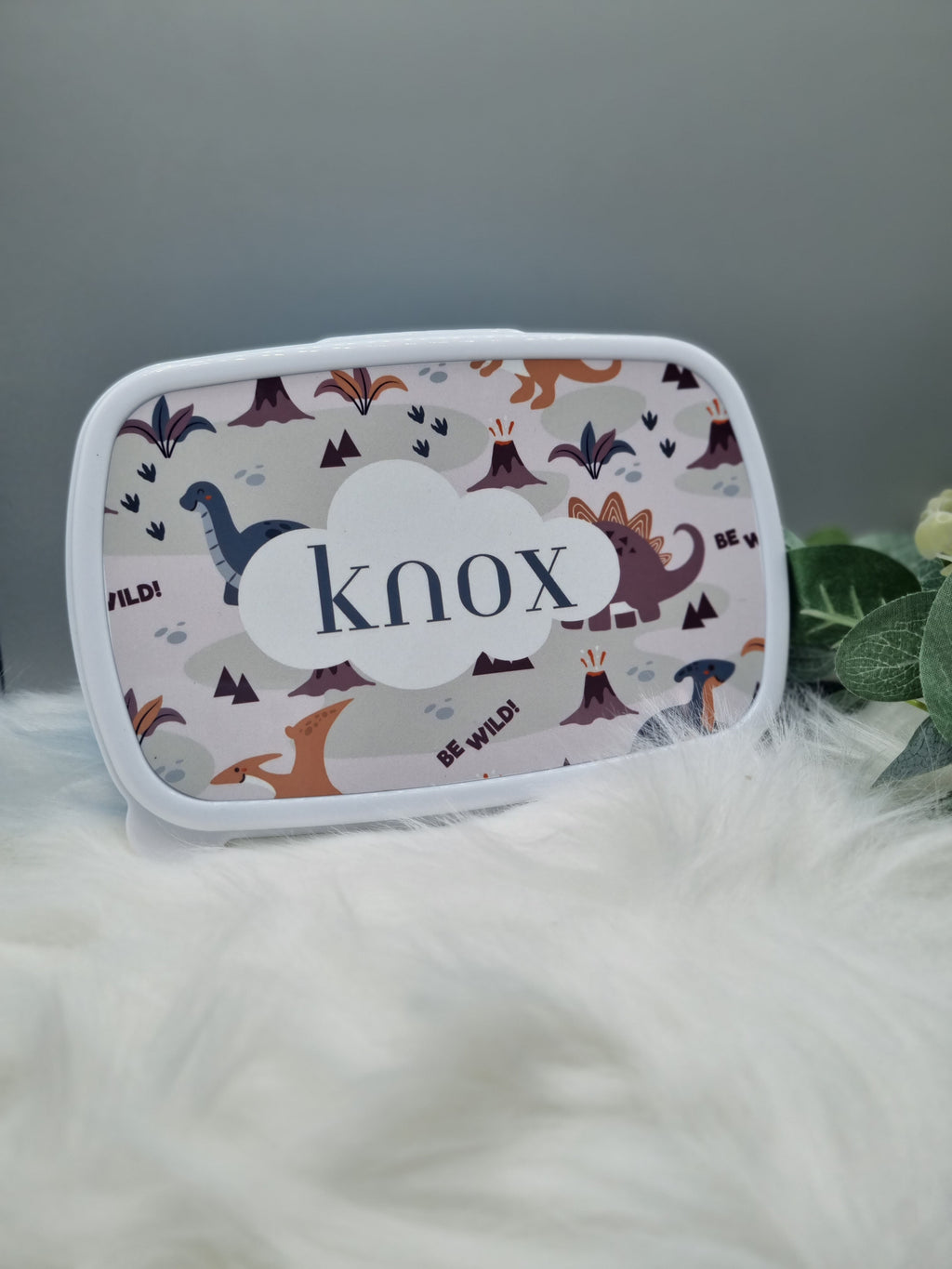 Kids lunch boxes