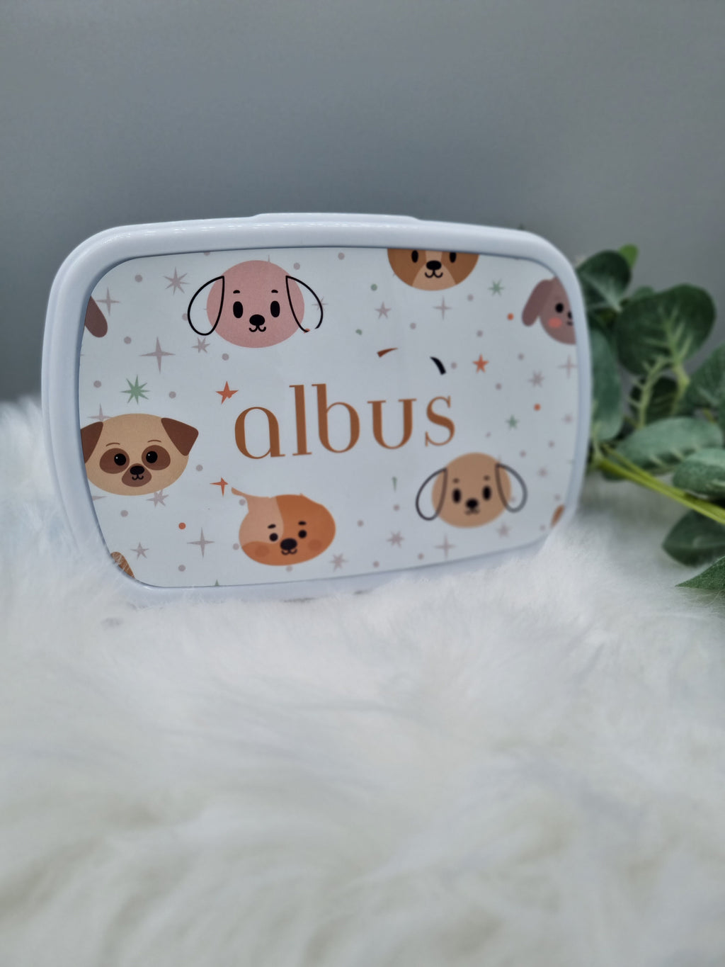 Kids lunch boxes