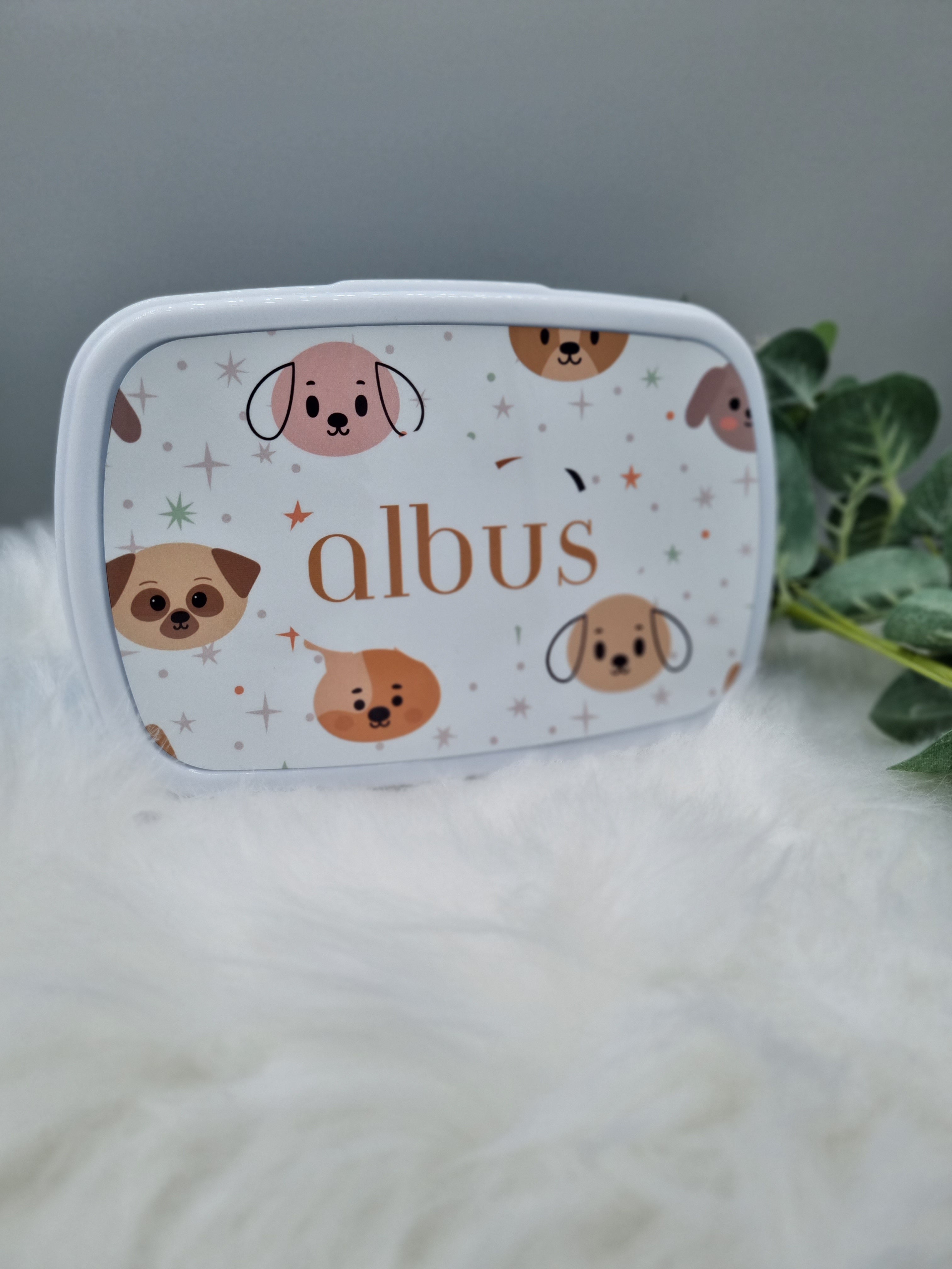Kids lunch boxes