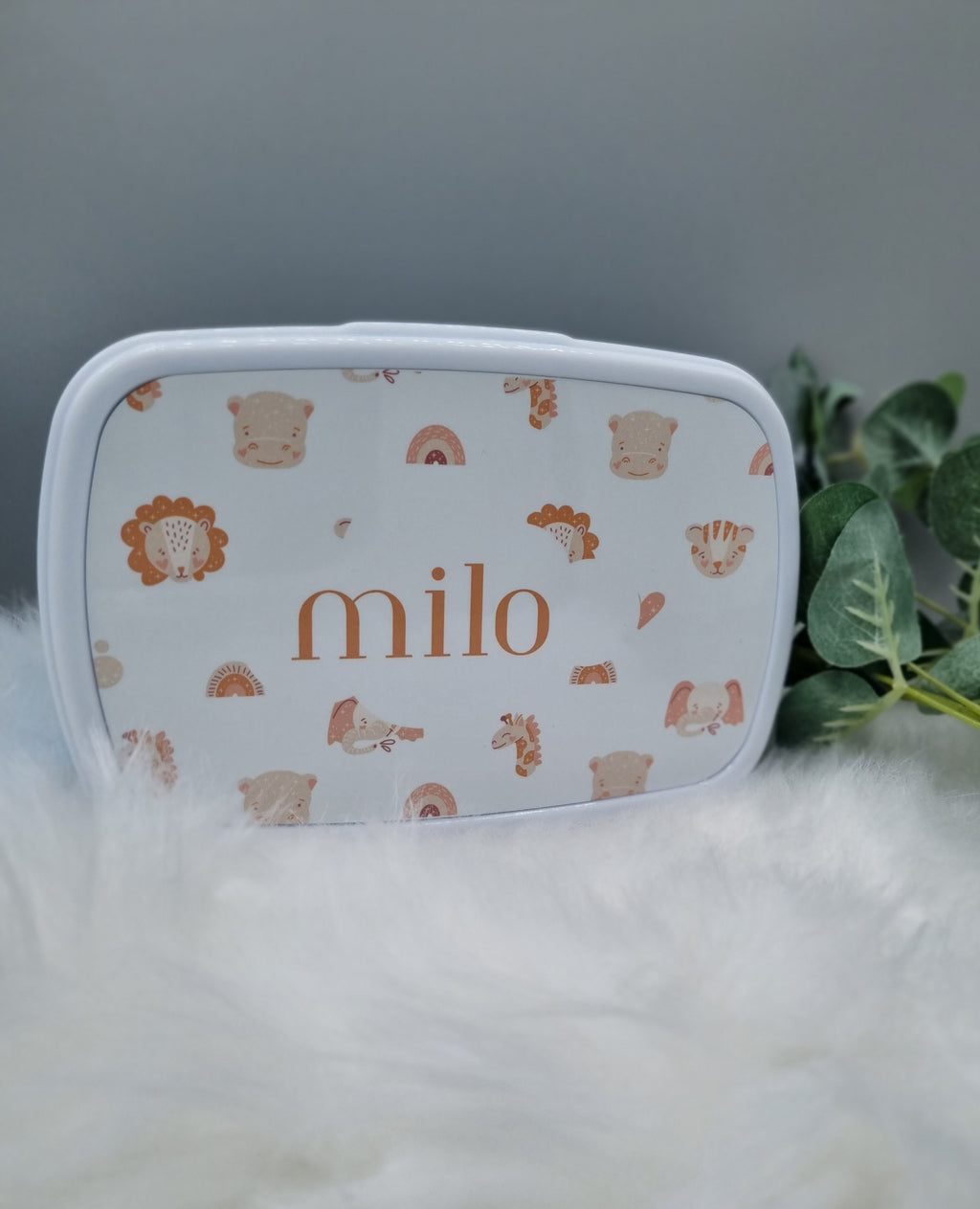 Kids lunch boxes